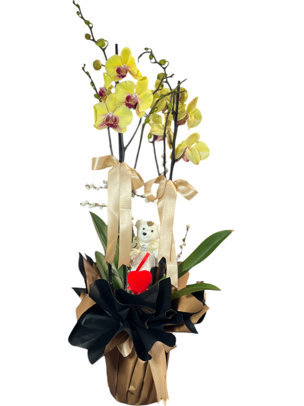 Altın Renkli Orkide ve Peluş Ayıcık