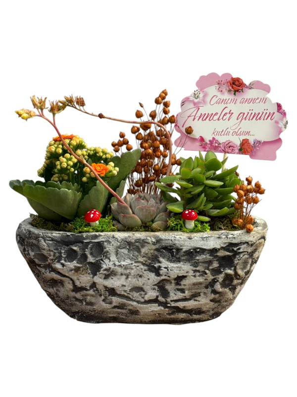 Doğal Taş Saksıda Turuncu Sukulent Bahçesi