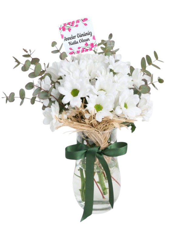 Annem İçin Beyaz Papatya