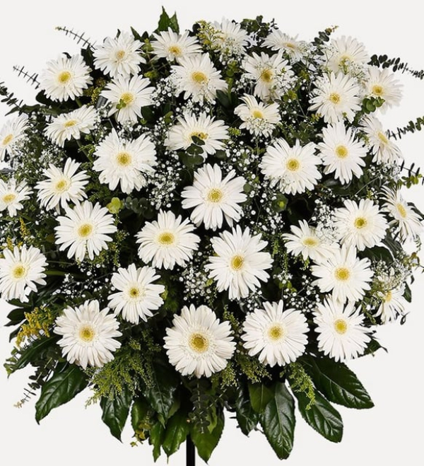 Beyaz Gerbera Ferforje Aranjmanı