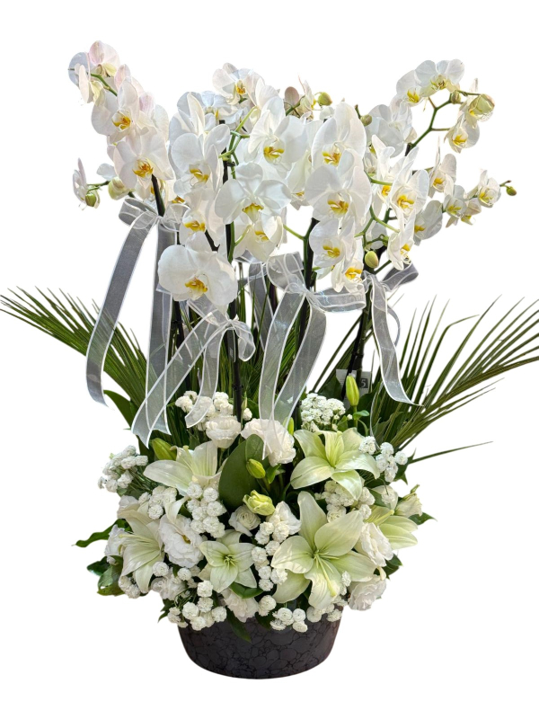 Beyaz Orkide ve Lilyum Aranjmanı