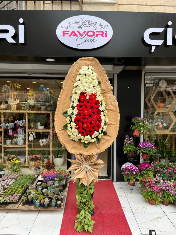 Kırmızı Beyaz Açılış Çiçeği