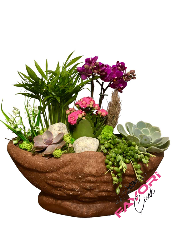 Mini Orkide Bahçesi Teraryum