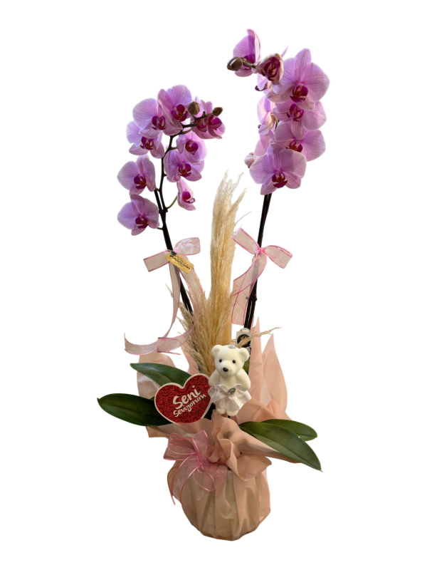Peluş Ayıcıklı 2 Dallı Mor Orkide