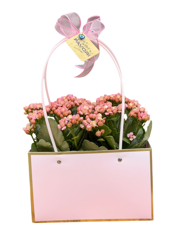 Pembe Çantada Çiçek (Kalanşo)