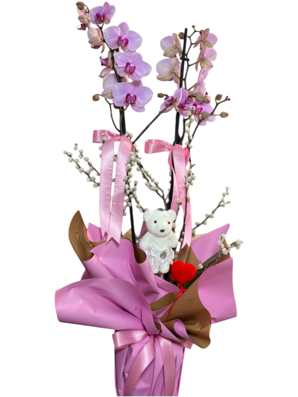 Sevdiklerinize Özel Pembe Orkide ve Ayıcık