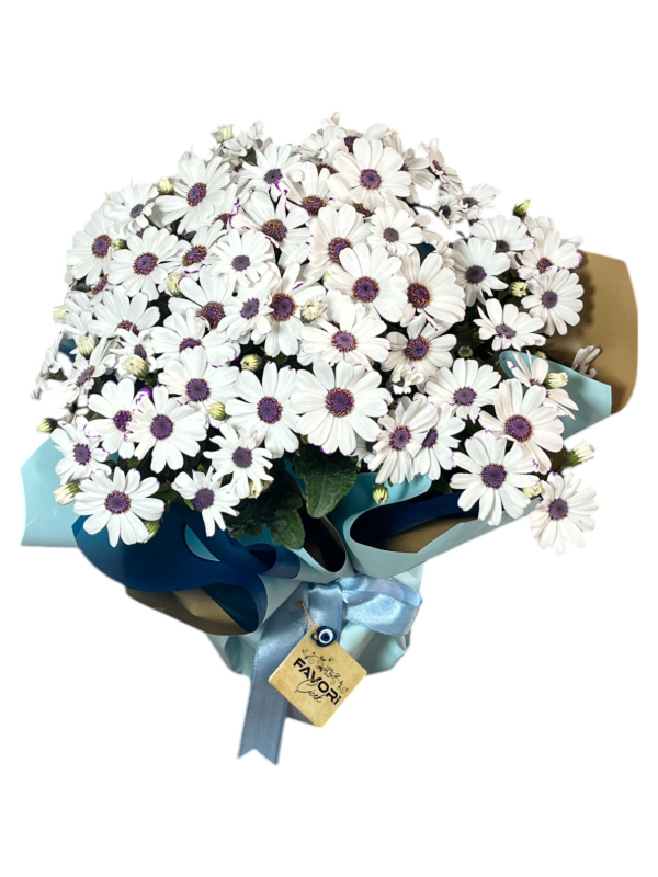 Beyaz Sinerelya Çiçeği