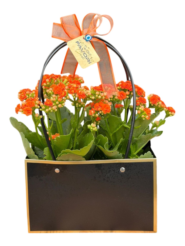 Siyah Çantada Çiçek – Turuncu Kalanşo