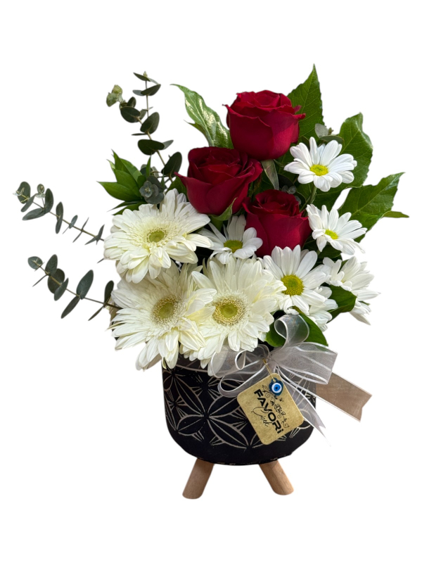 Dekoratif Saksıda Gül ve Papatya Aranjmanı