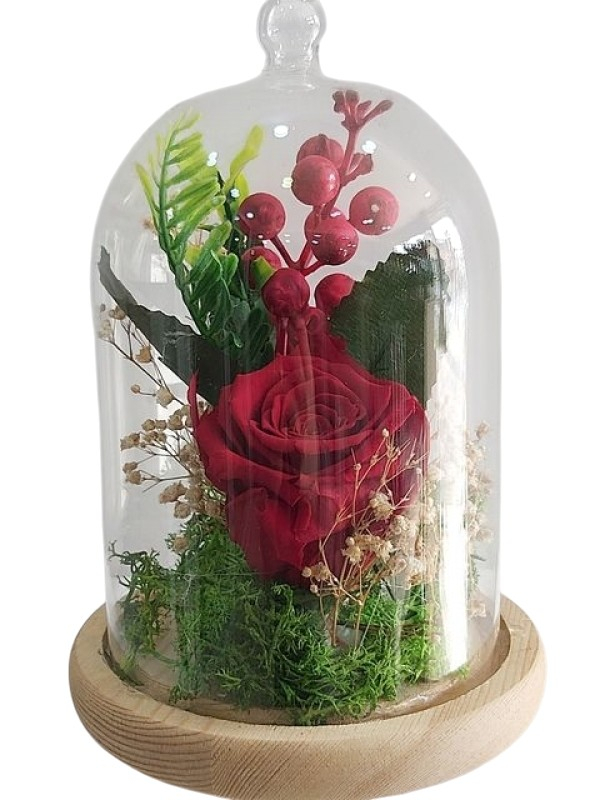 Solmayan Gül ve Kokina Aranjmanı