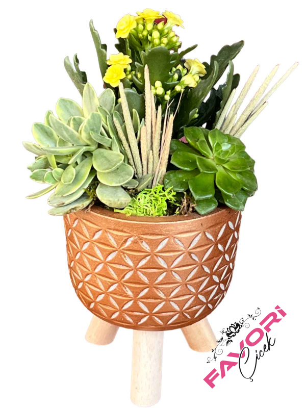 Teşekkür Çiçeği