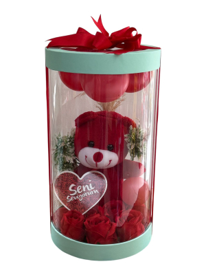 Mint Kapaklı Şeffaf Silindir Kutuda Kırmızı Ayıcık