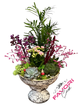 Minyatür Orkide Teraryum 