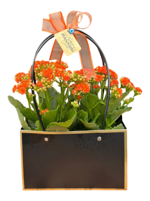 Siyah Çantada Çiçek – Turuncu Kalanşo