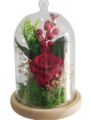 Solmayan Gül ve Kokina Aranjmanı